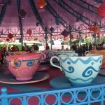 Huge decorated teacups that spin at the riders desire.