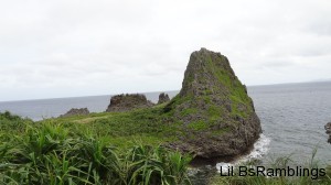 A moss covered rock formation