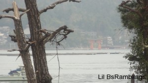 A distant view of the red Tori gate in the water in front of the shrine.